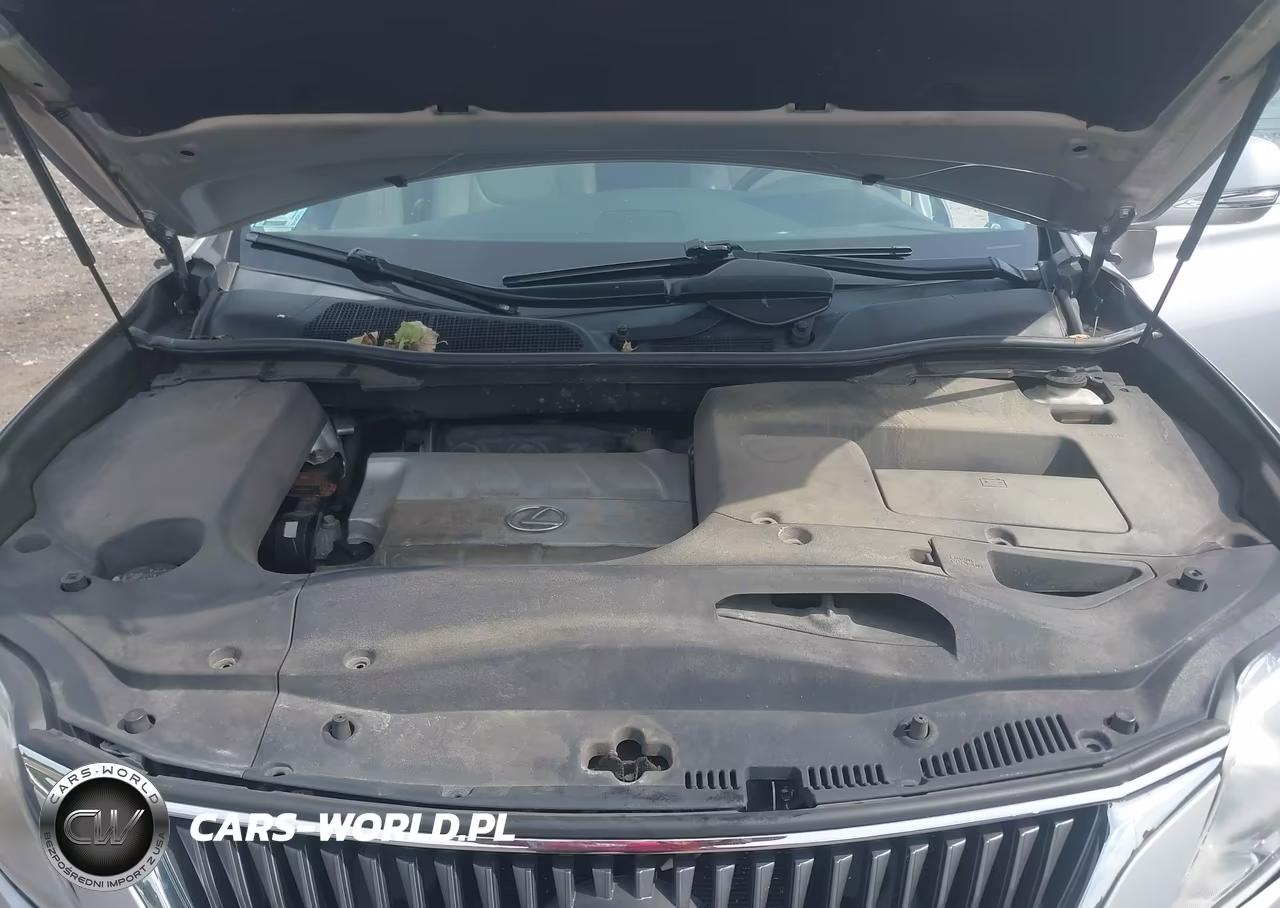 2010 Lexus Rx 350 VIN:2T2BK1BA0AC079767 - 10