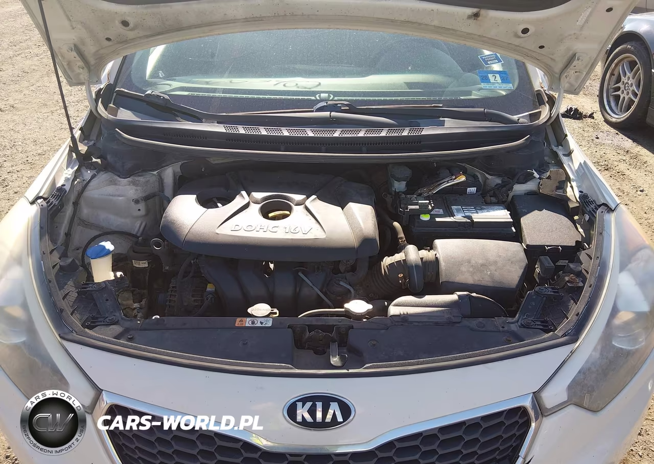 2015 Kia Forte Lx VIN:KNAFK4A66F5392666 - 10