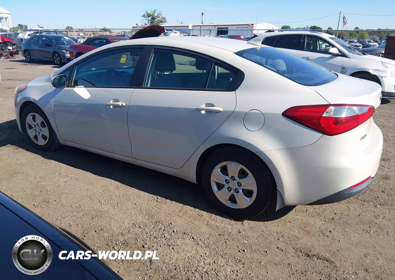 2015 Kia Forte Lx VIN:KNAFK4A66F5392666 - 3