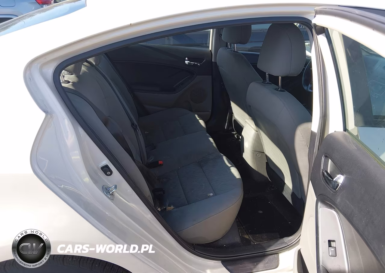 2015 Kia Forte Lx VIN:KNAFK4A66F5392666 - 8