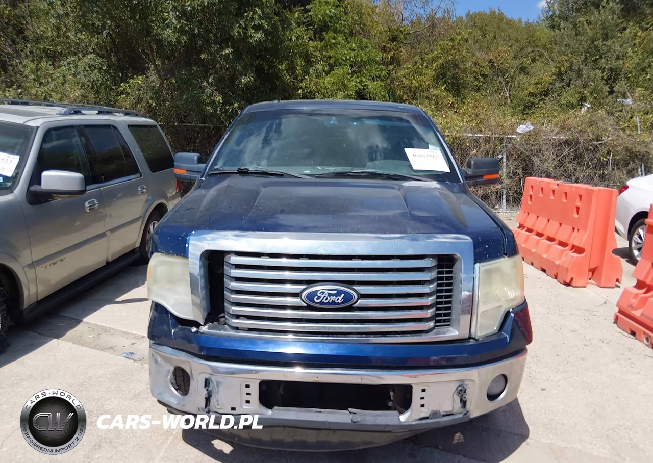 2010 Ford F-150 Xlt VIN:1FTEW1C89AFD32478 - 11