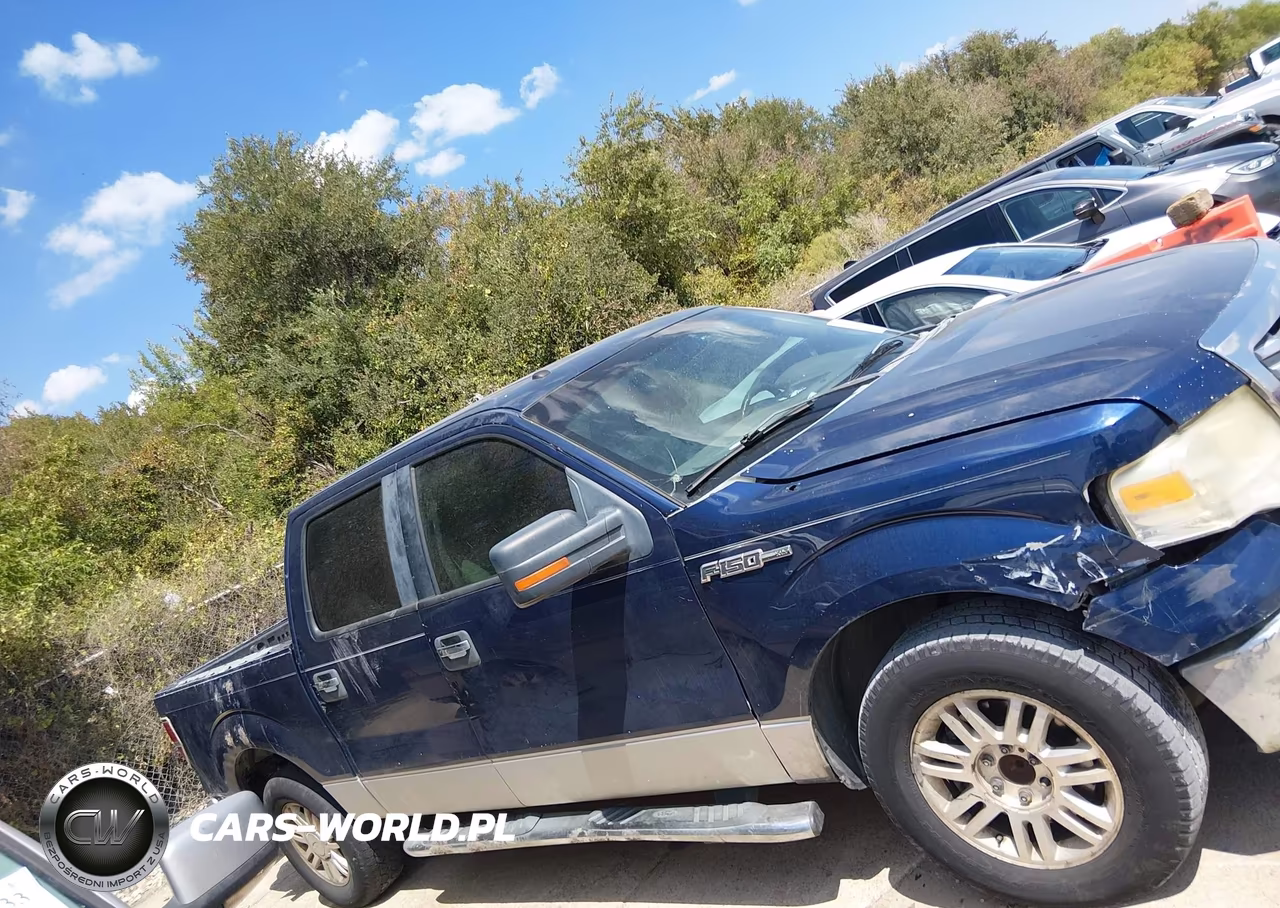 2010 Ford F-150 Xlt VIN:1FTEW1C89AFD32478 - 12