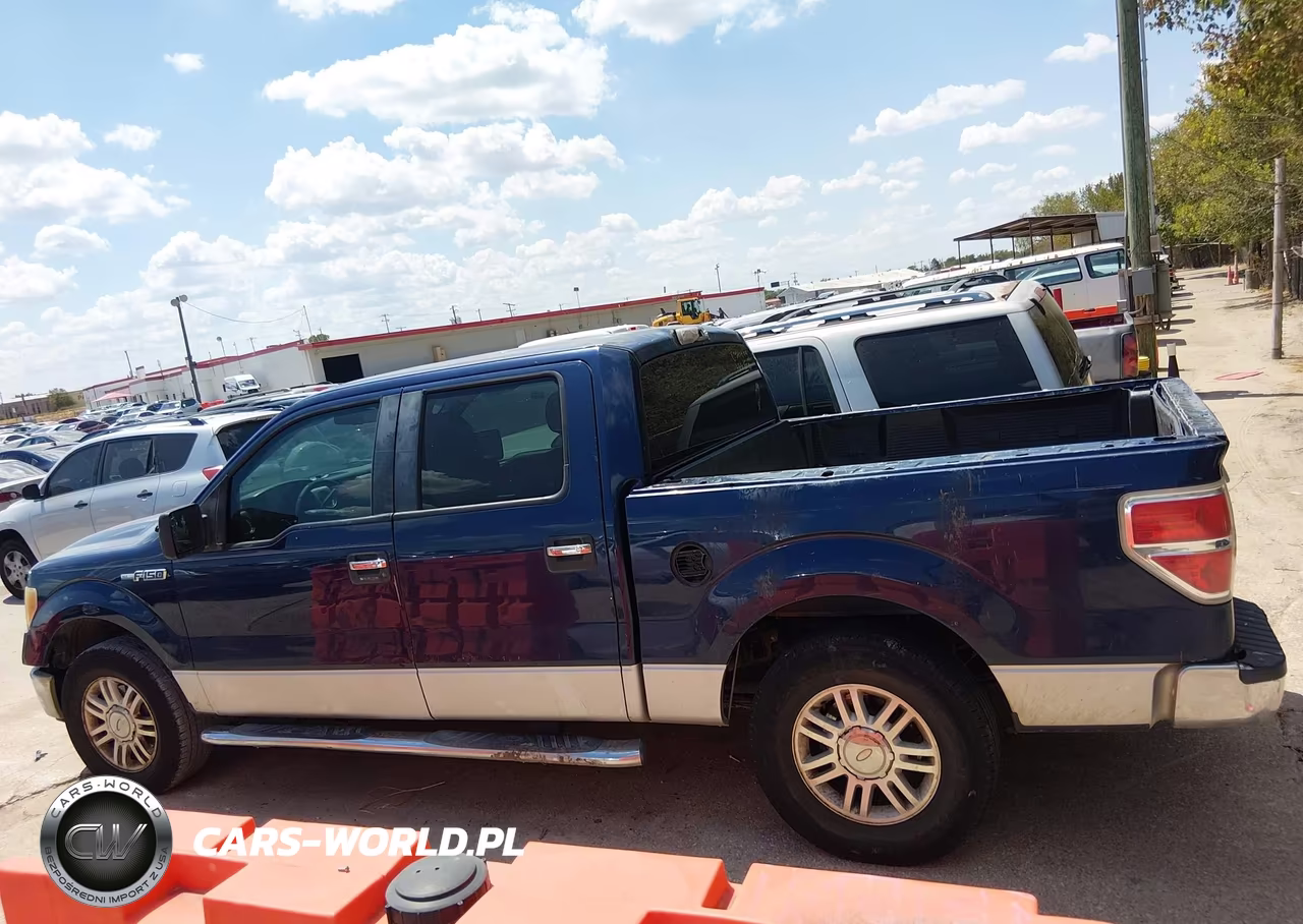 2010 Ford F-150 Xlt VIN:1FTEW1C89AFD32478 - 13