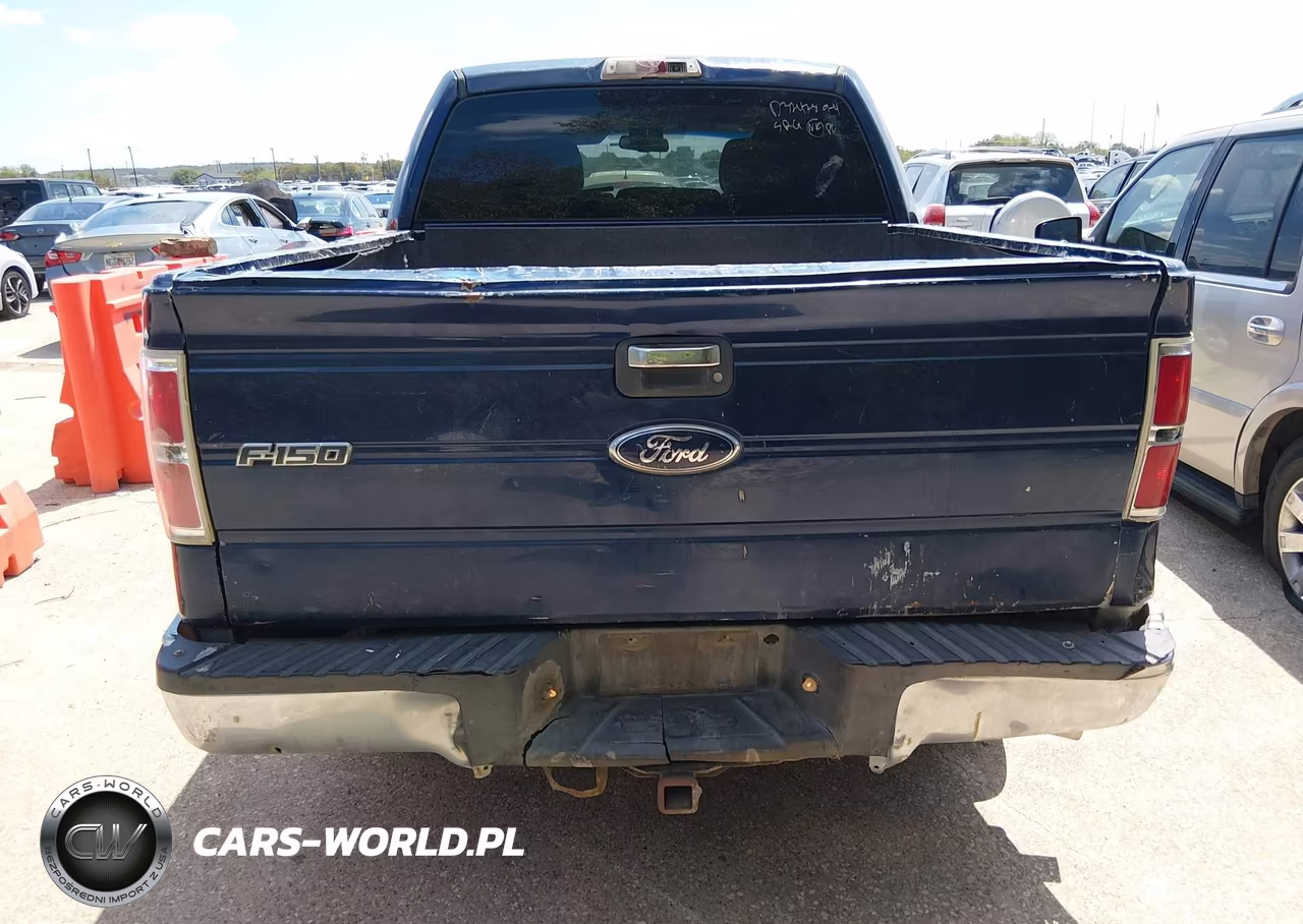 2010 Ford F-150 Xlt VIN:1FTEW1C89AFD32478 - 15