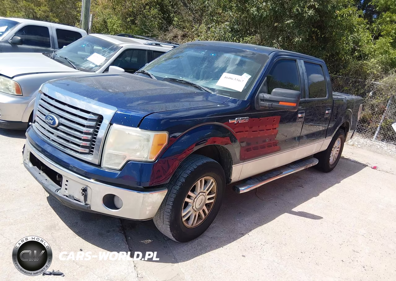 2010 Ford F-150 Xlt VIN:1FTEW1C89AFD32478 - 2