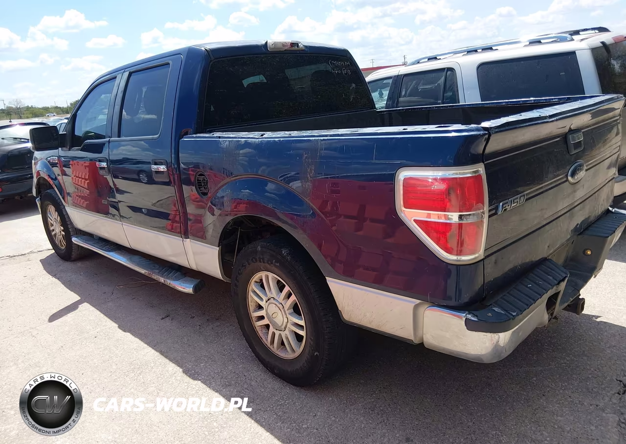 2010 Ford F-150 Xlt VIN:1FTEW1C89AFD32478 - 3