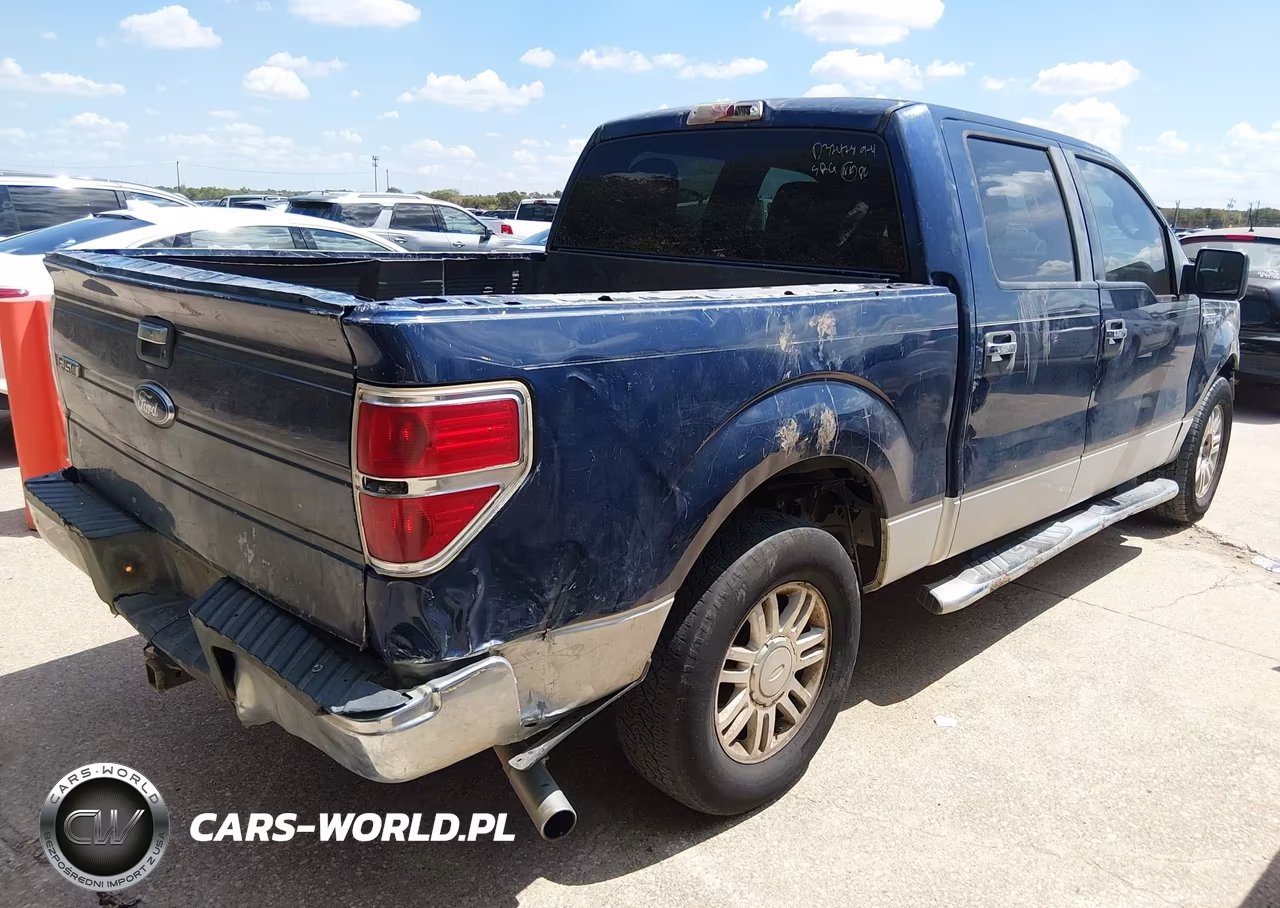 2010 Ford F-150 Xlt VIN:1FTEW1C89AFD32478 - 4