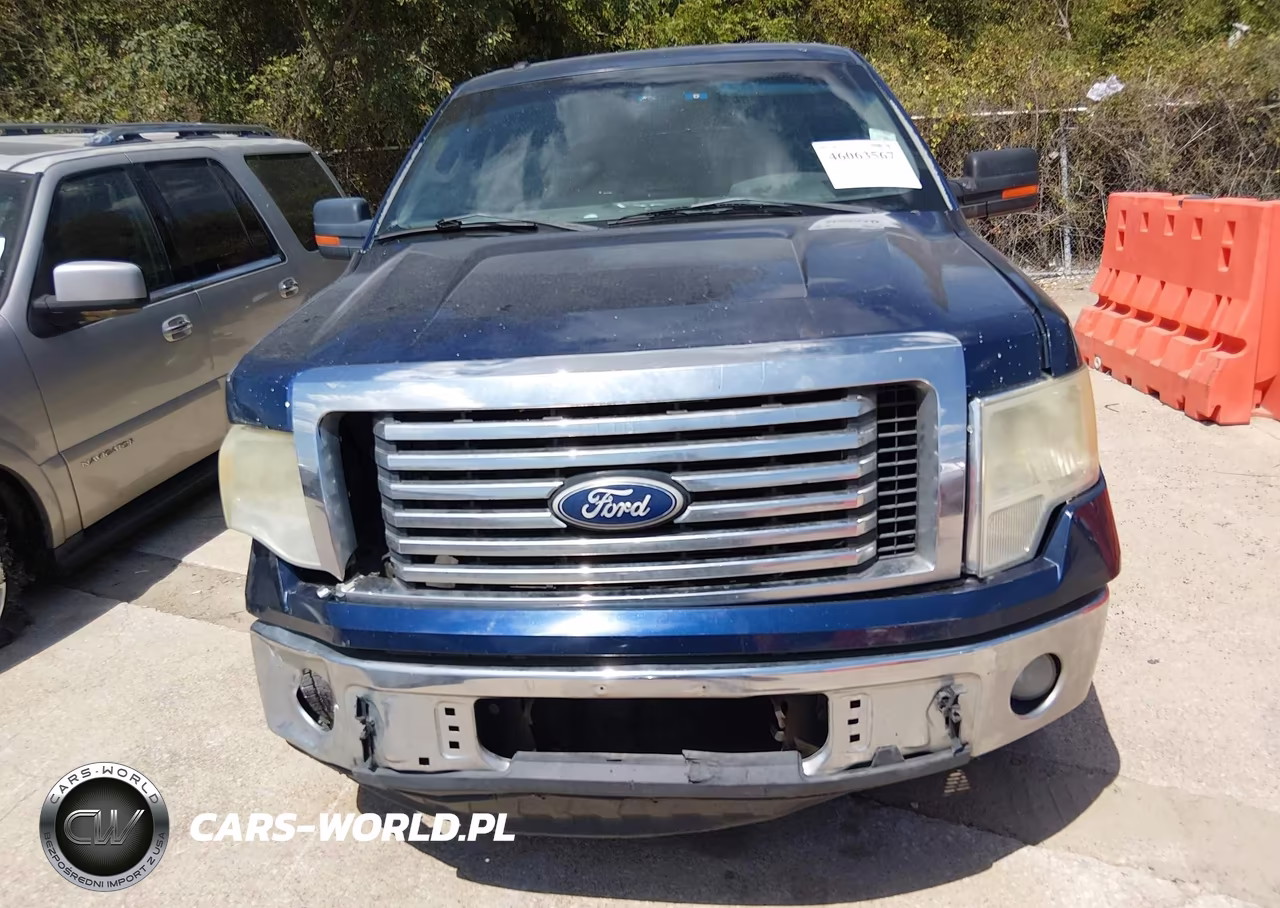 2010 Ford F-150 Xlt VIN:1FTEW1C89AFD32478 - 6