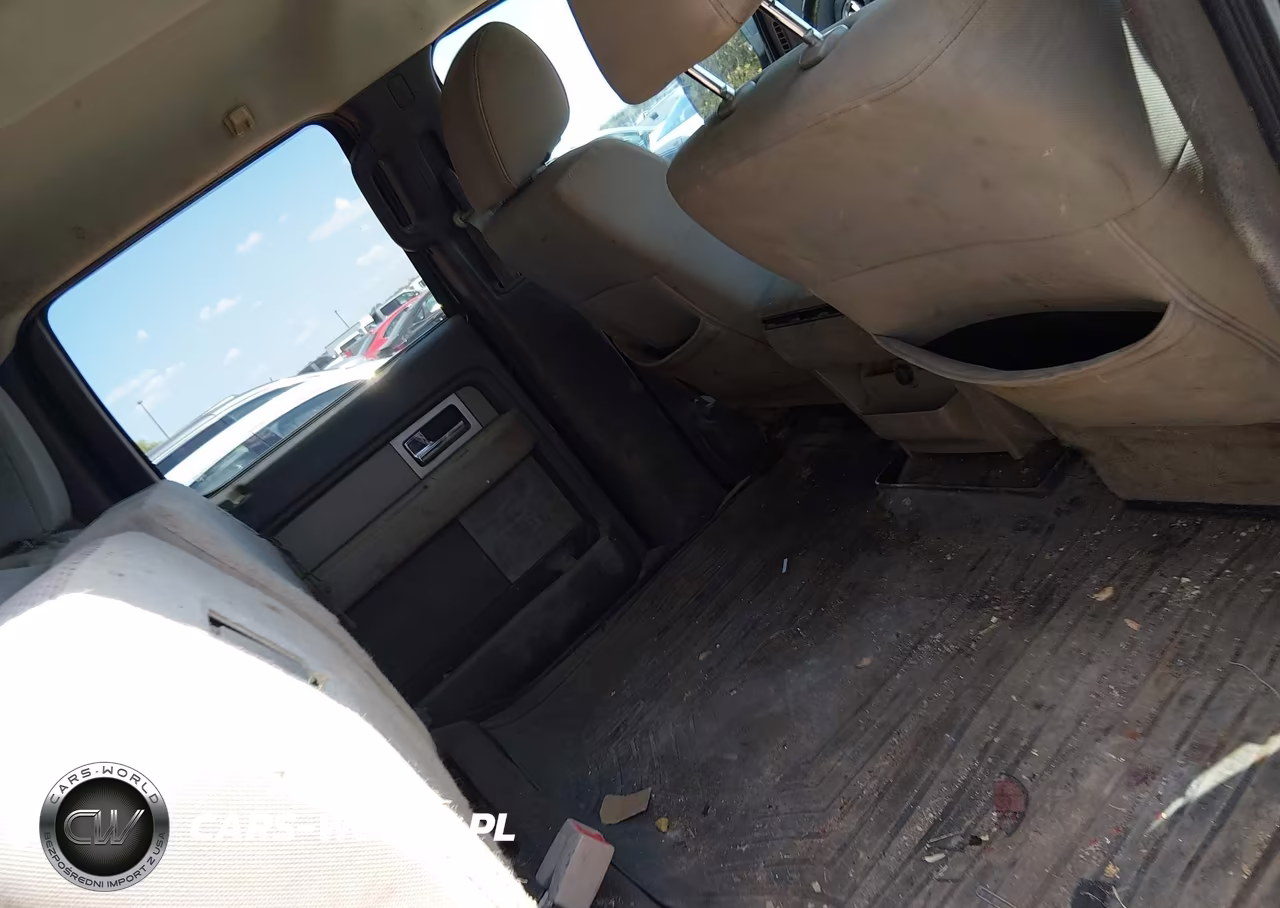 2010 Ford F-150 Xlt VIN:1FTEW1C89AFD32478 - 8