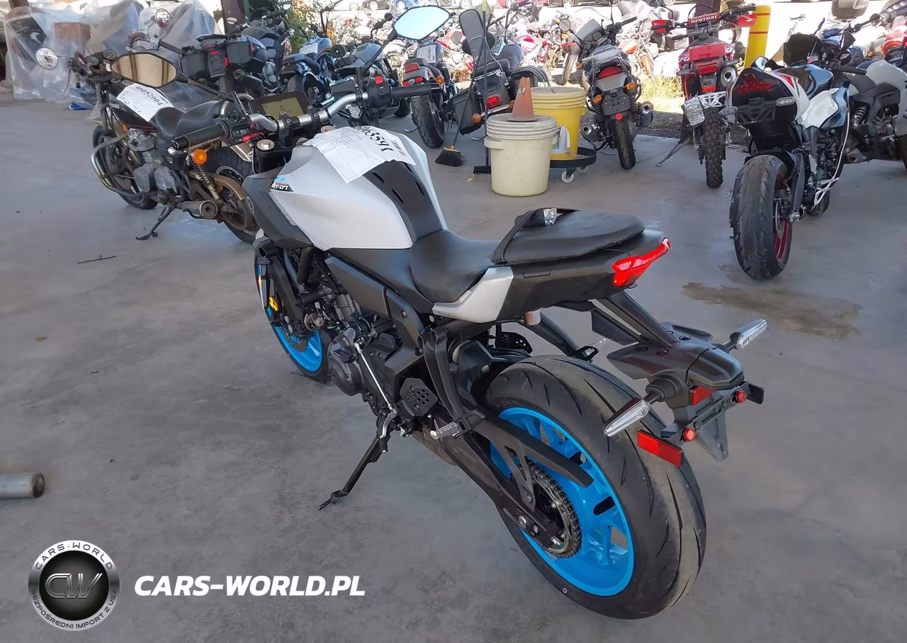 2025 Yamaha Mtn690 VIN:JYARM48E2SA002831 - 3