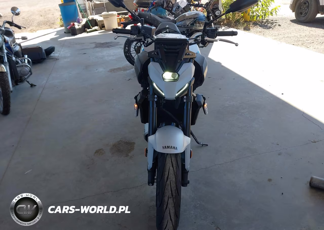 2025 Yamaha Mtn690 VIN:JYARM48E2SA002831 - 5