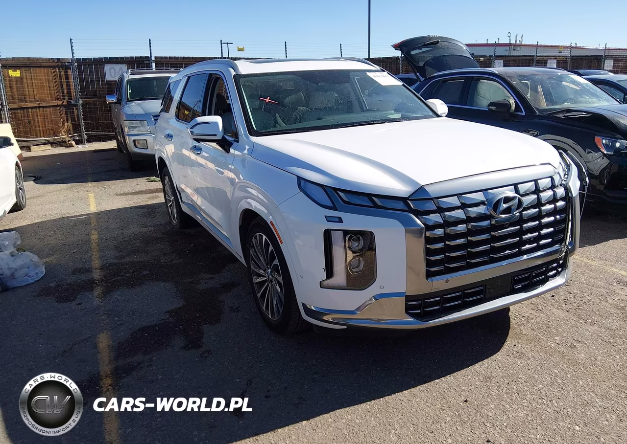 2025 Hyundai Palisade Calligraphy VIN:KM8R7DGE8SU890458 - 1