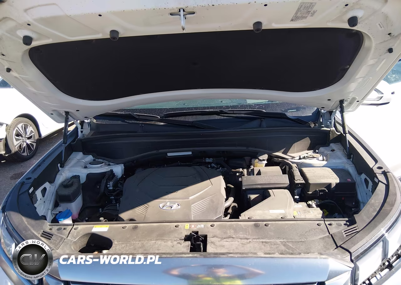 2025 Hyundai Palisade Calligraphy VIN:KM8R7DGE8SU890458 - 10
