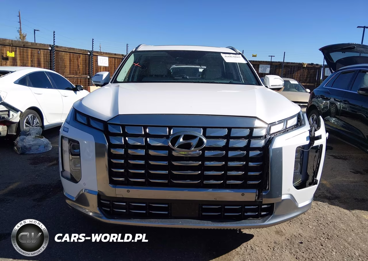 2025 Hyundai Palisade Calligraphy VIN:KM8R7DGE8SU890458 - 12