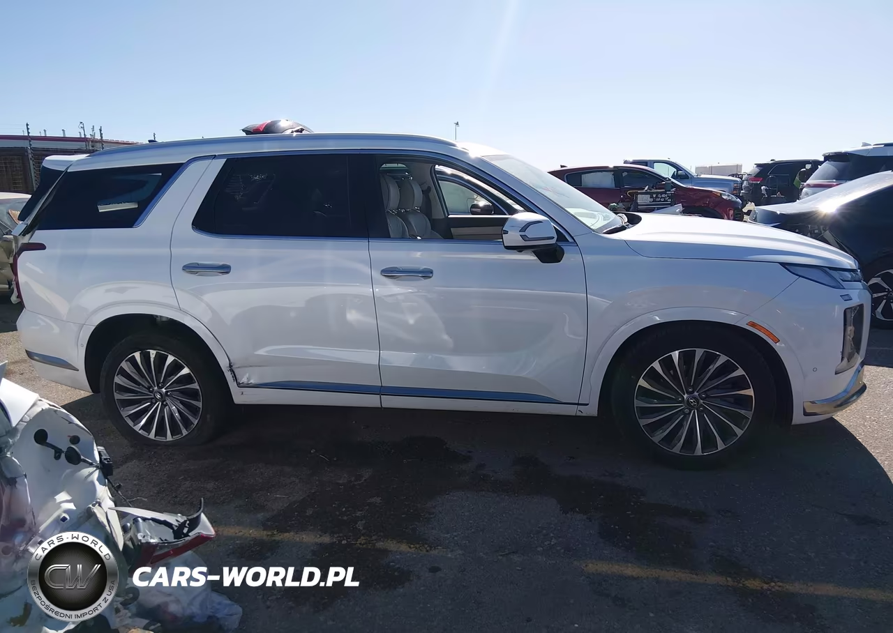 2025 Hyundai Palisade Calligraphy VIN:KM8R7DGE8SU890458 - 13