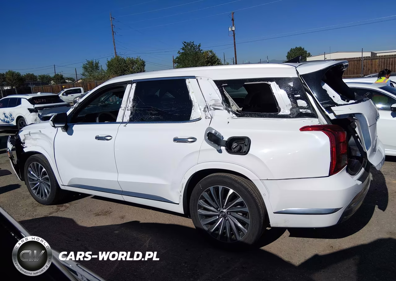 2025 Hyundai Palisade Calligraphy VIN:KM8R7DGE8SU890458 - 14
