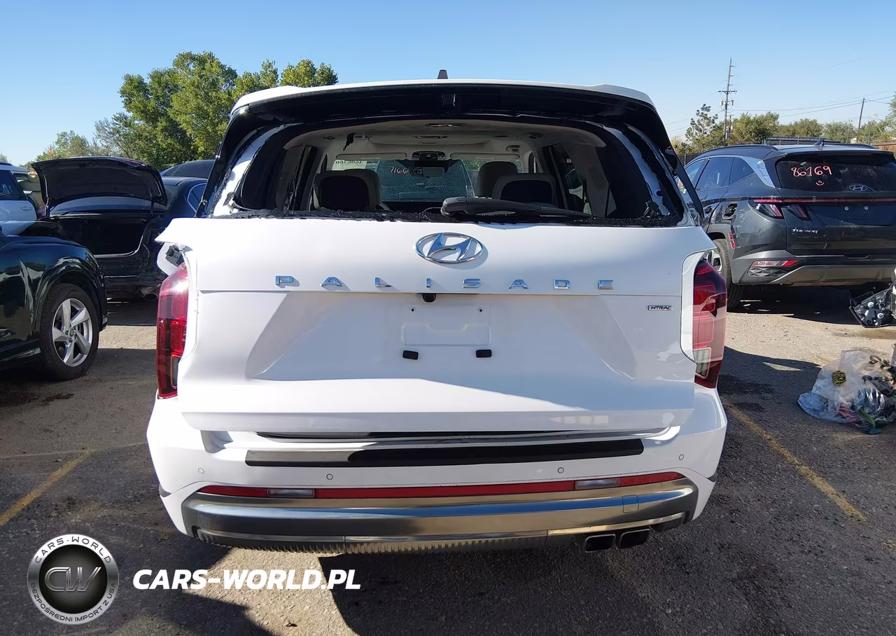 2025 Hyundai Palisade Calligraphy VIN:KM8R7DGE8SU890458 - 16