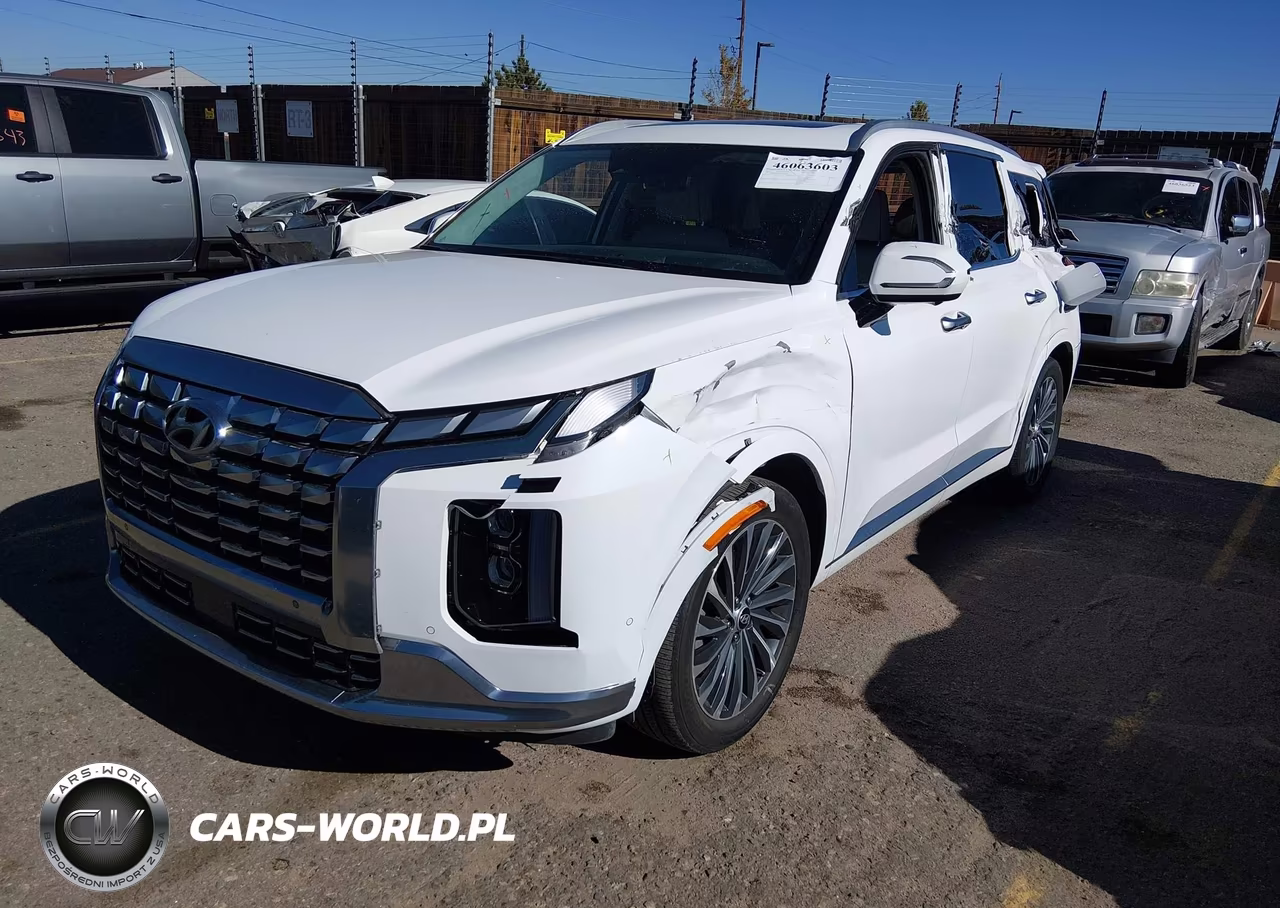 2025 Hyundai Palisade Calligraphy VIN:KM8R7DGE8SU890458 - 2