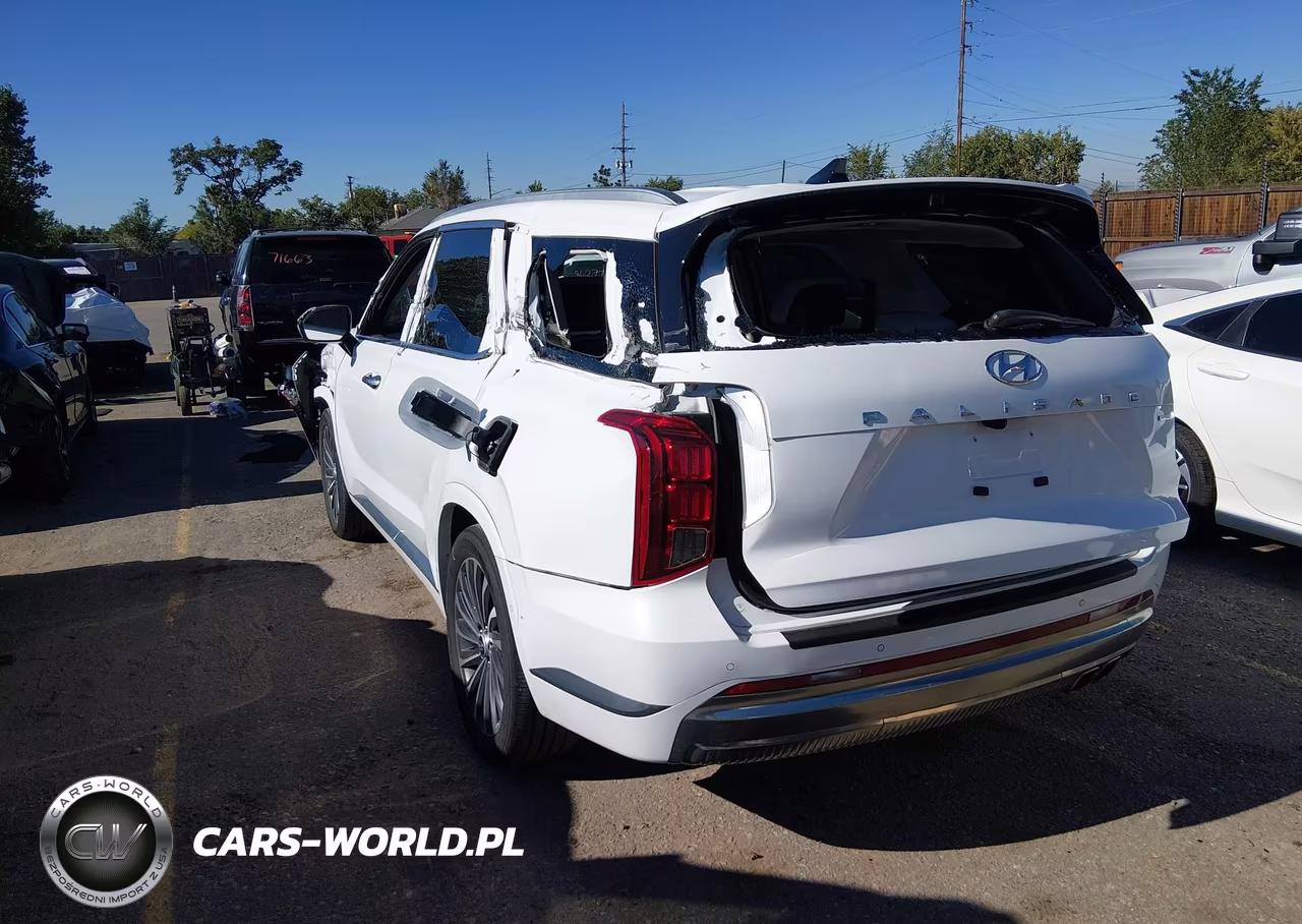 2025 Hyundai Palisade Calligraphy VIN:KM8R7DGE8SU890458 - 3