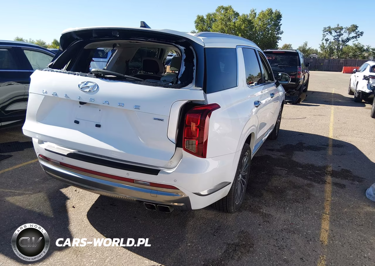 2025 Hyundai Palisade Calligraphy VIN:KM8R7DGE8SU890458 - 4