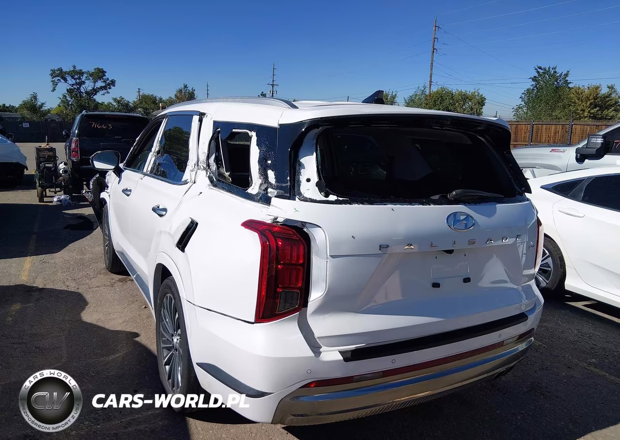 2025 Hyundai Palisade Calligraphy VIN:KM8R7DGE8SU890458 - 6
