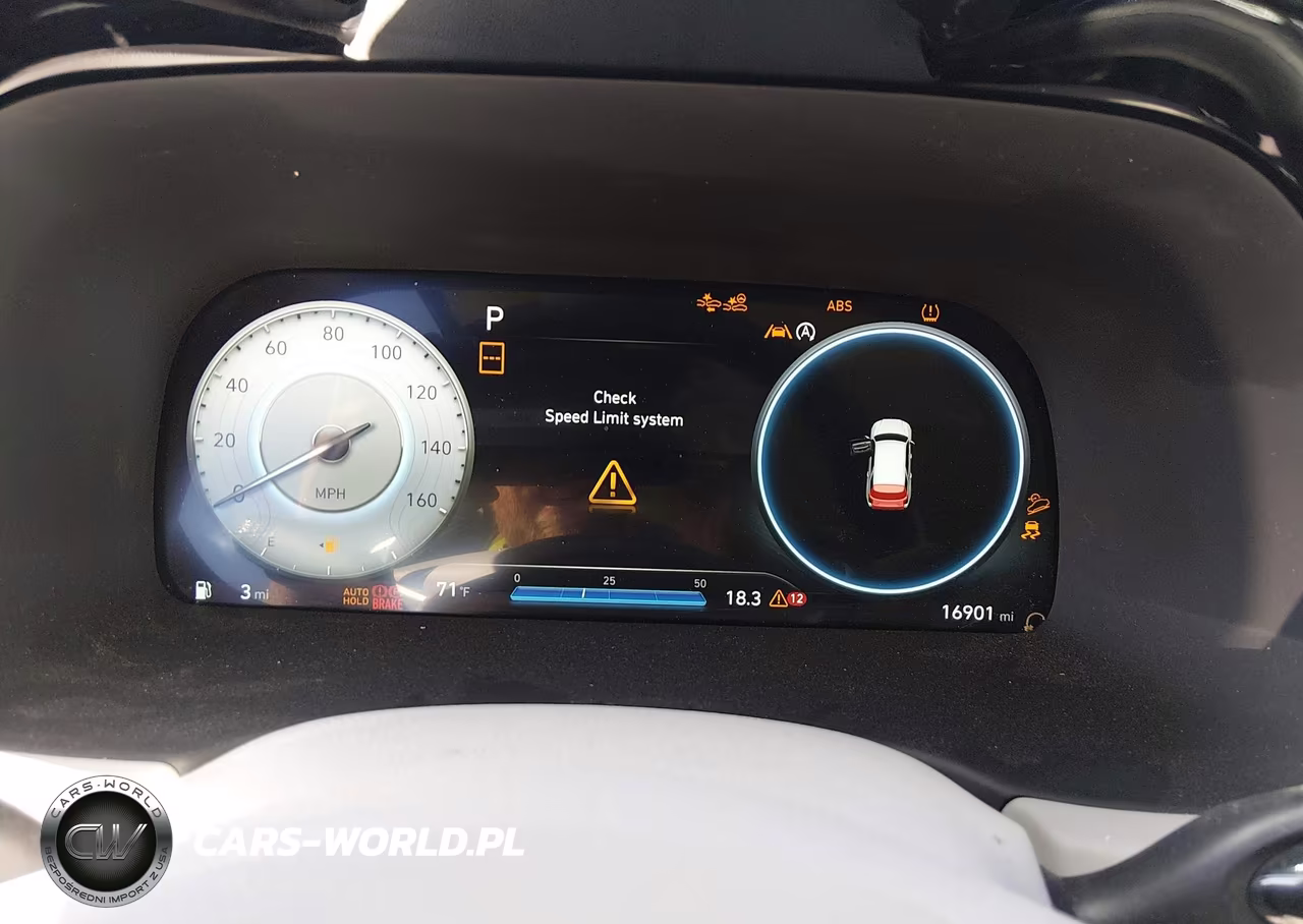 2025 Hyundai Palisade Calligraphy VIN:KM8R7DGE8SU890458 - 7