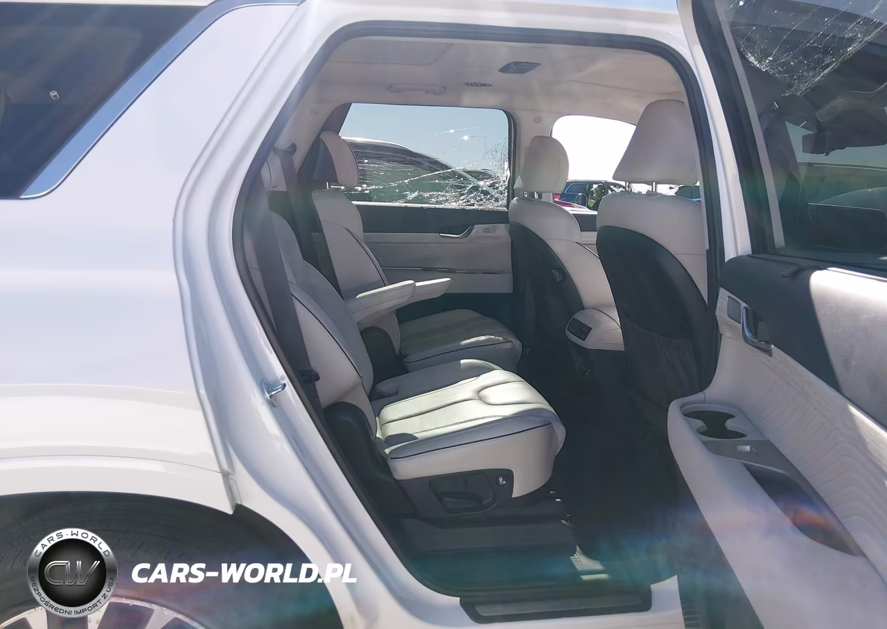 2025 Hyundai Palisade Calligraphy VIN:KM8R7DGE8SU890458 - 8