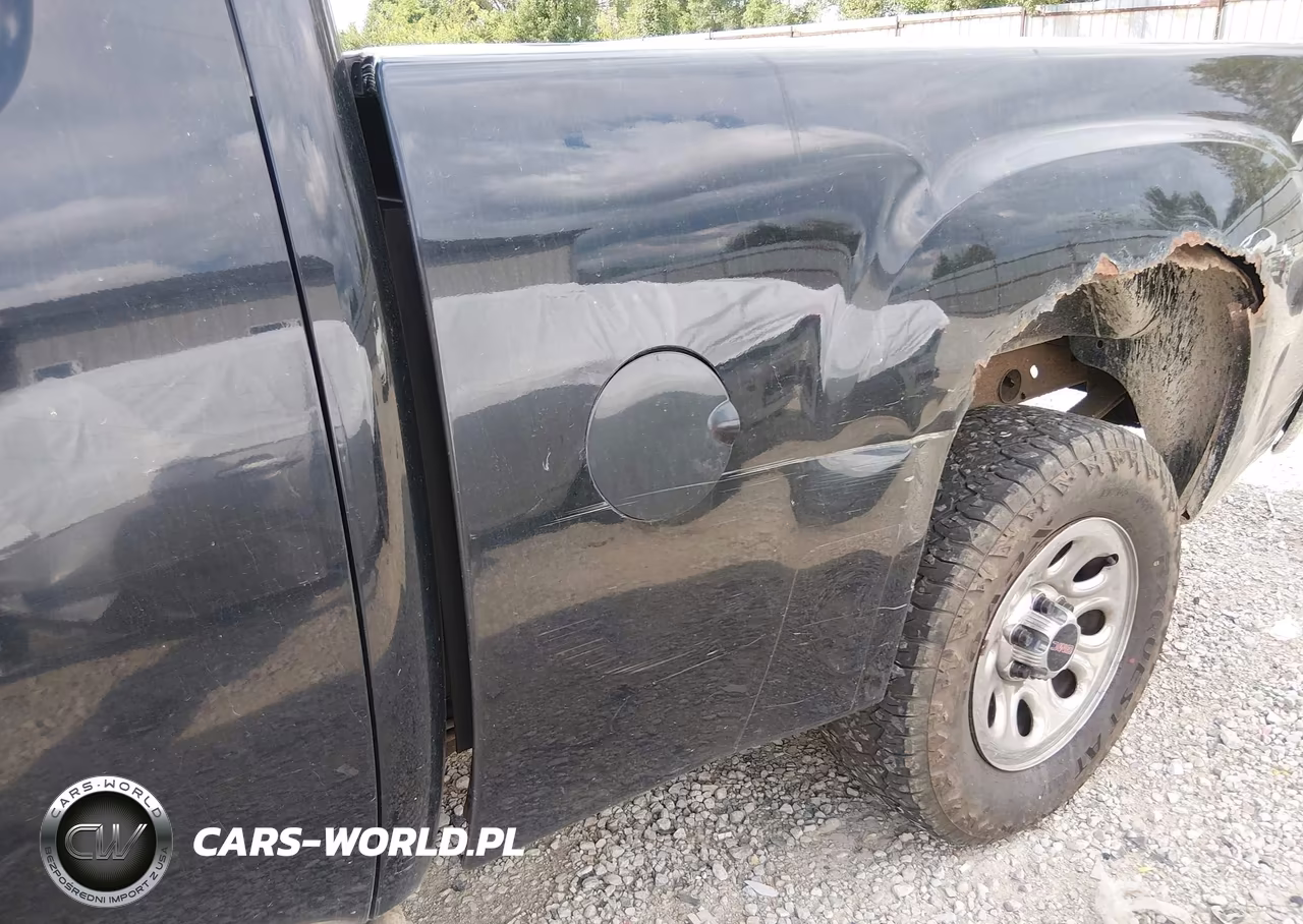 2009 GMC Sierra 1500 Work Truck VIN:1GTEK19C19Z163137 - 12