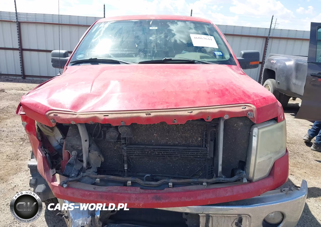2010 Ford F-150 Fx2 Sport-Xl-Xlt VIN:1FTEW1C86AKA17662 - 13