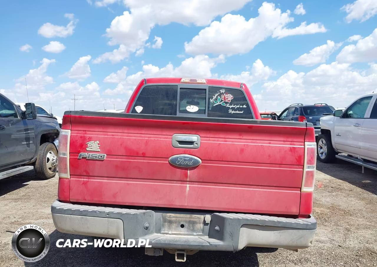 2010 Ford F-150 Fx2 Sport-Xl-Xlt VIN:1FTEW1C86AKA17662 - 17