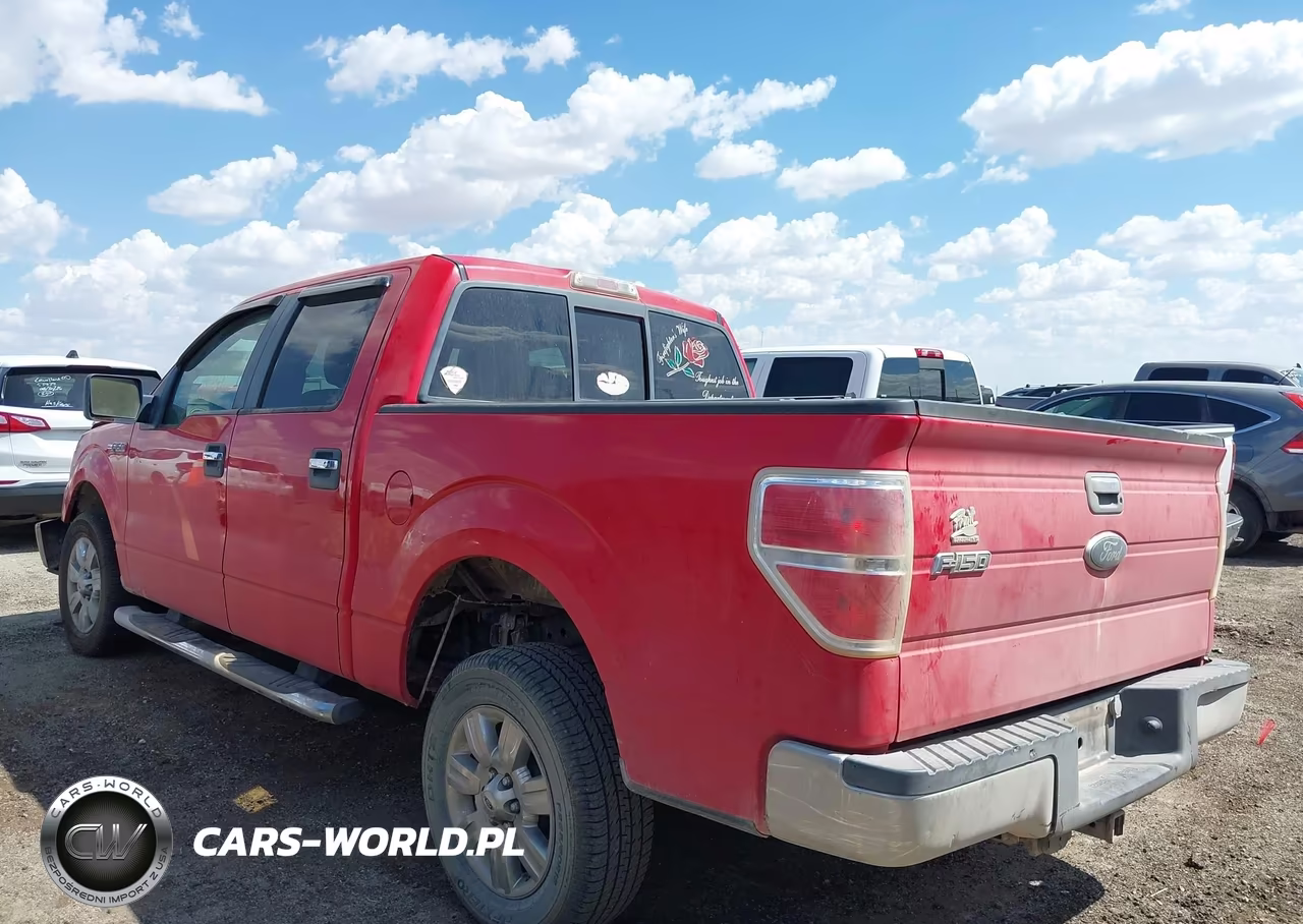 2010 Ford F-150 Fx2 Sport-Xl-Xlt VIN:1FTEW1C86AKA17662 - 3