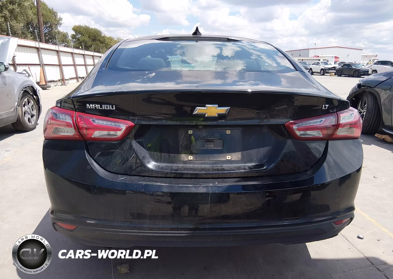 2019 Chevrolet Malibu Lt VIN:1G1ZD5ST0KF163580 - 17