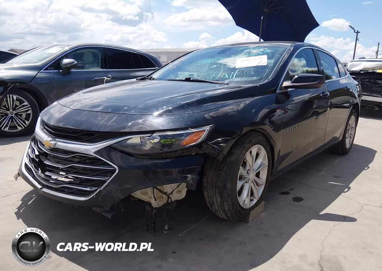 2019 Chevrolet Malibu Lt VIN:1G1ZD5ST0KF163580 - 2