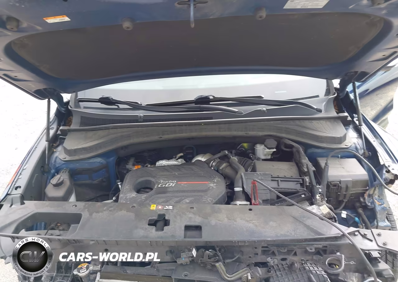 2020 Hyundai Santa Fe Limited 2.0T VIN:5NMS53AAXLH298743 - 10