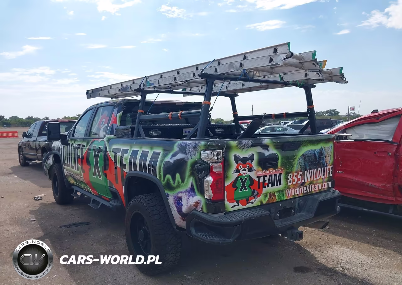 2020 Chevrolet Silverado 2500Hd 2Wd Standard Bed Wt VIN:1GC4WLE7XLF127816 - 3