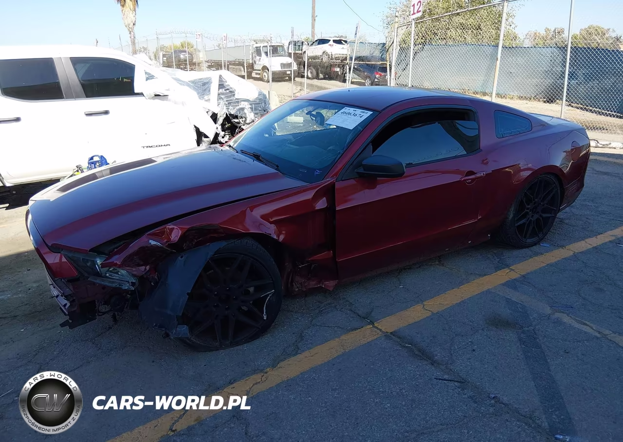 2014 Ford Mustang V6 VIN:1ZVBP8AM6E5254971 - 2