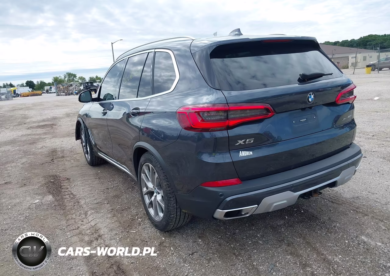 2019 BMW X5 xDrive40I VIN:5UXCR6C5XKLL14929 - 3