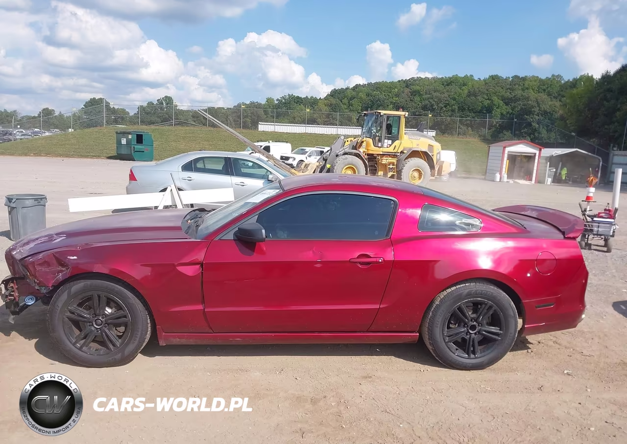 2014 Ford Mustang V6 VIN:1ZVBP8AM2E5315779 - 14