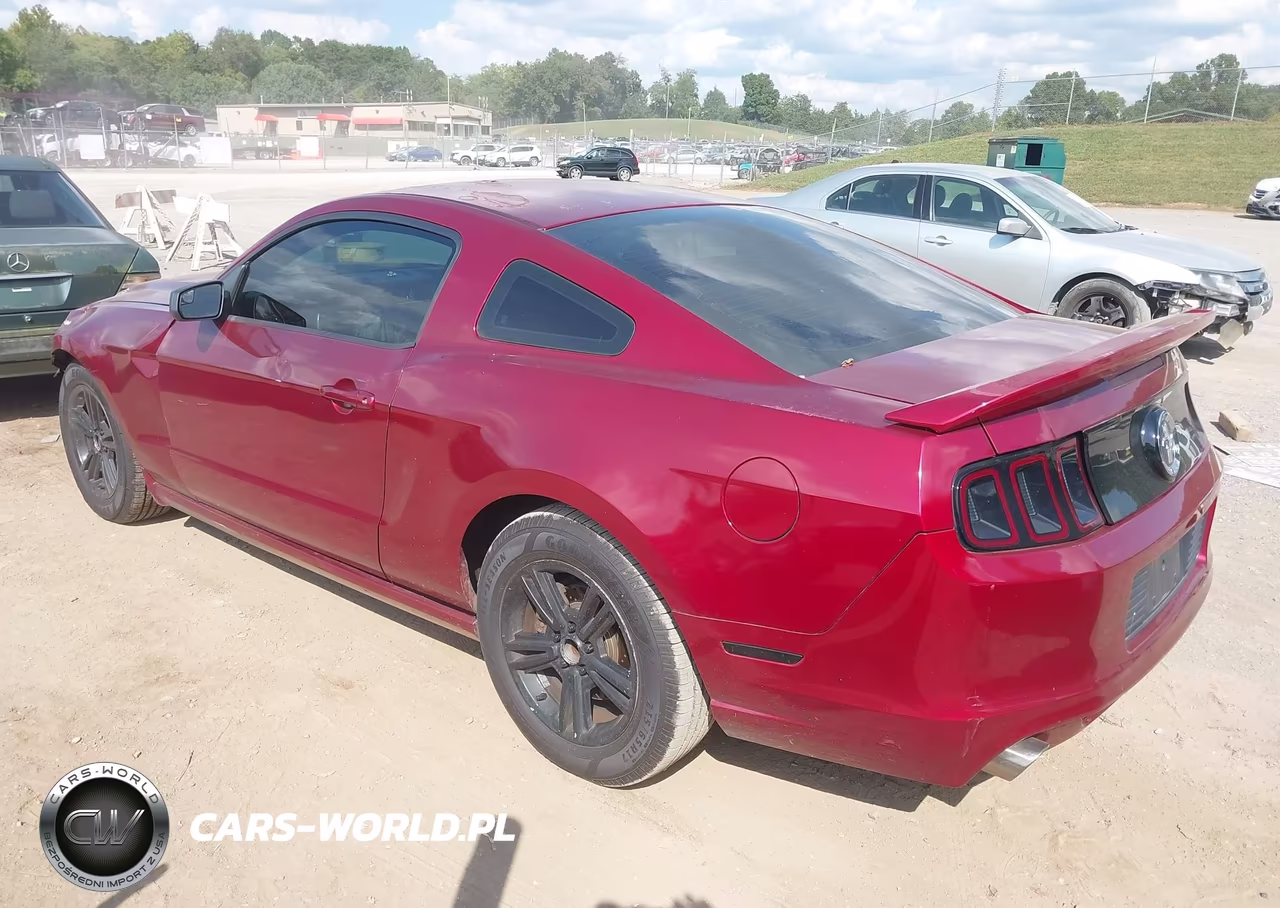 2014 Ford Mustang V6 VIN:1ZVBP8AM2E5315779 - 3