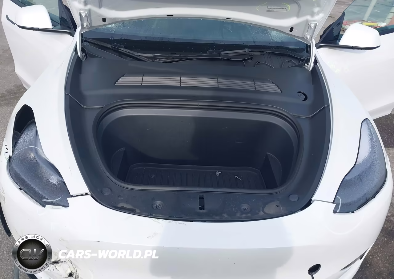 2024 Tesla Model Y Long Range Dual Motor All-Wheel Drive VIN:7SAYGDEE9RF150684 - 10
