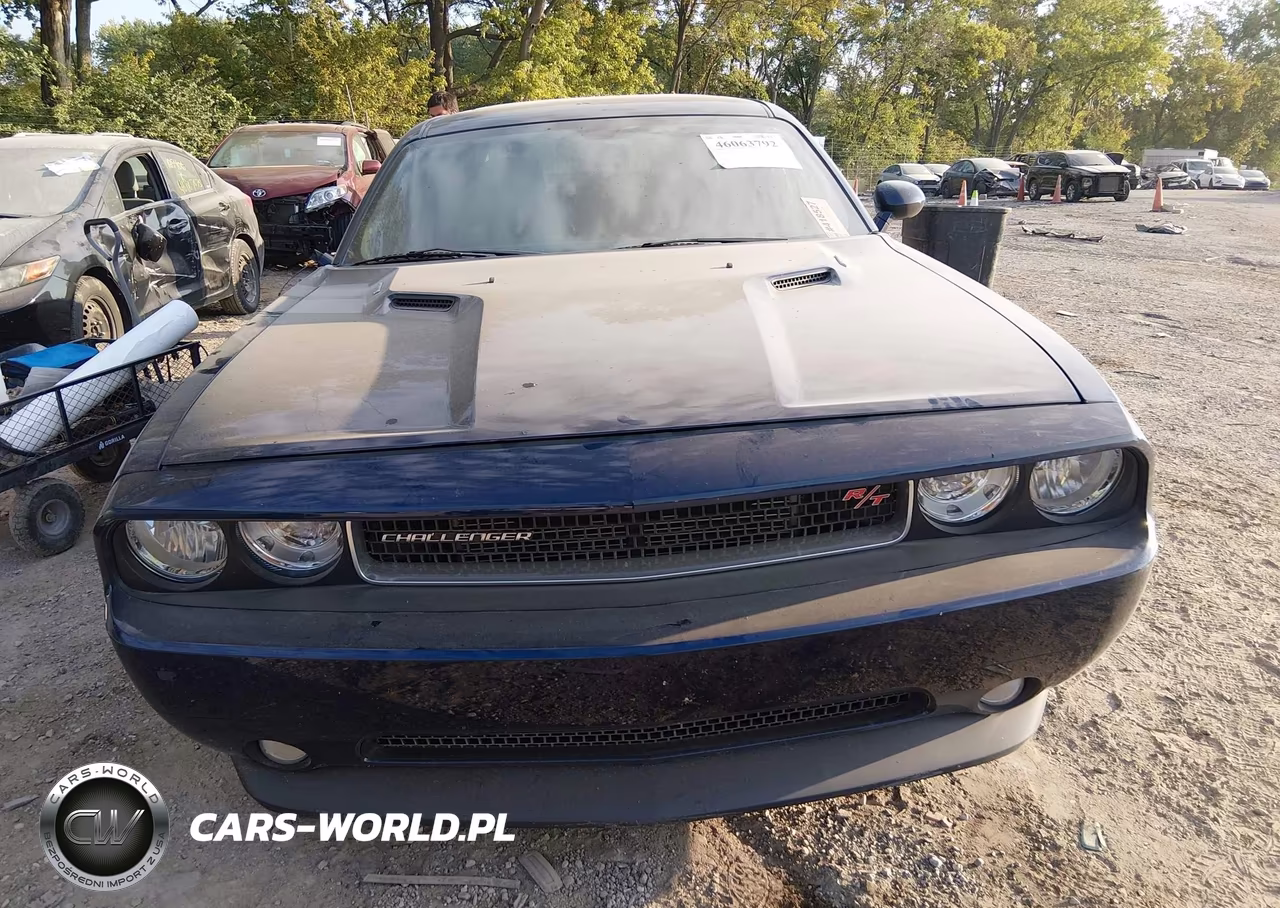 2014 Dodge Challenger R-T Plus VIN:2C3CDYBT9EH102086 - 11