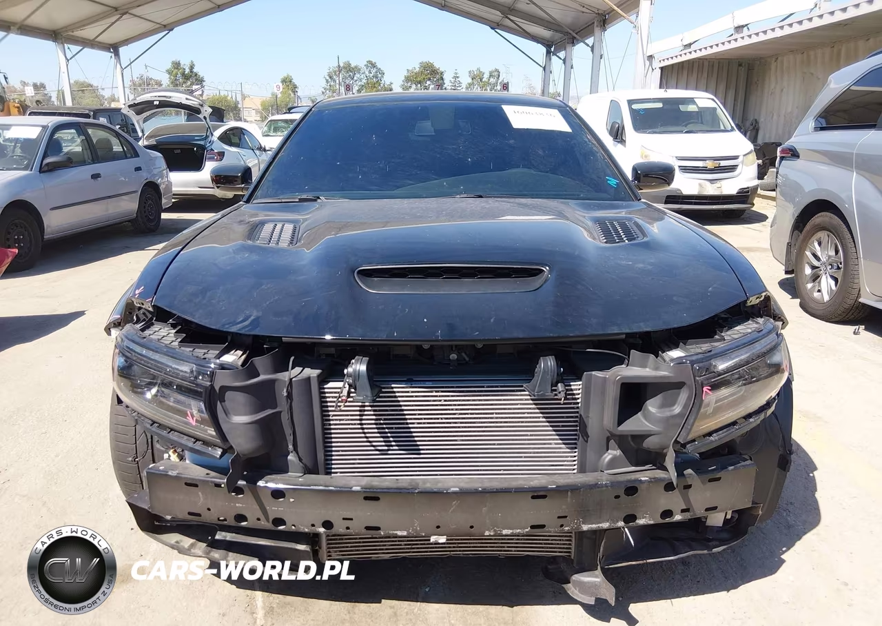 2021 Dodge Charger Srt Hellcat Redeye Widebody Rwd VIN:2C3CDXL96MH503512 - 13