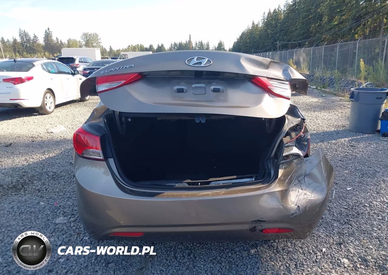2013 Hyundai Elantra Gls VIN:5NPDH4AE5DH355413 - 17