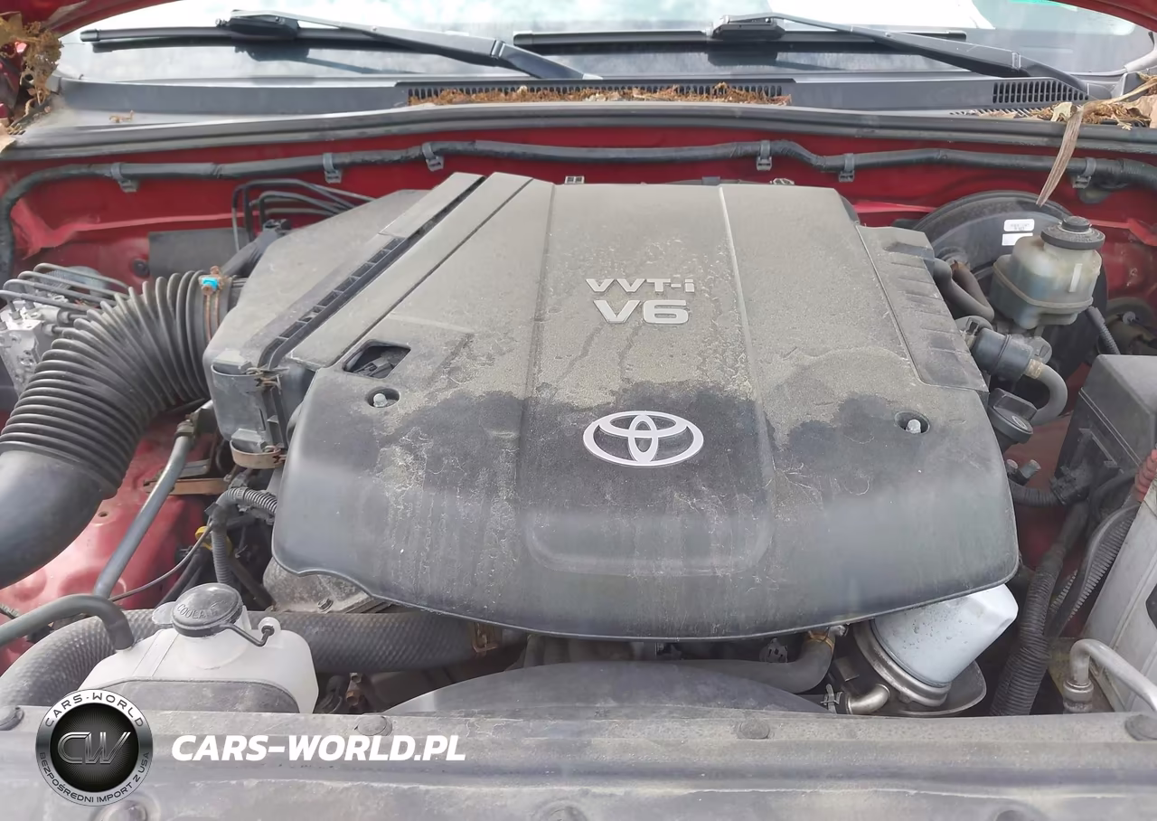 2009 Toyota Tacoma Base V6 VIN:3TMMU52N29M008882 - 10