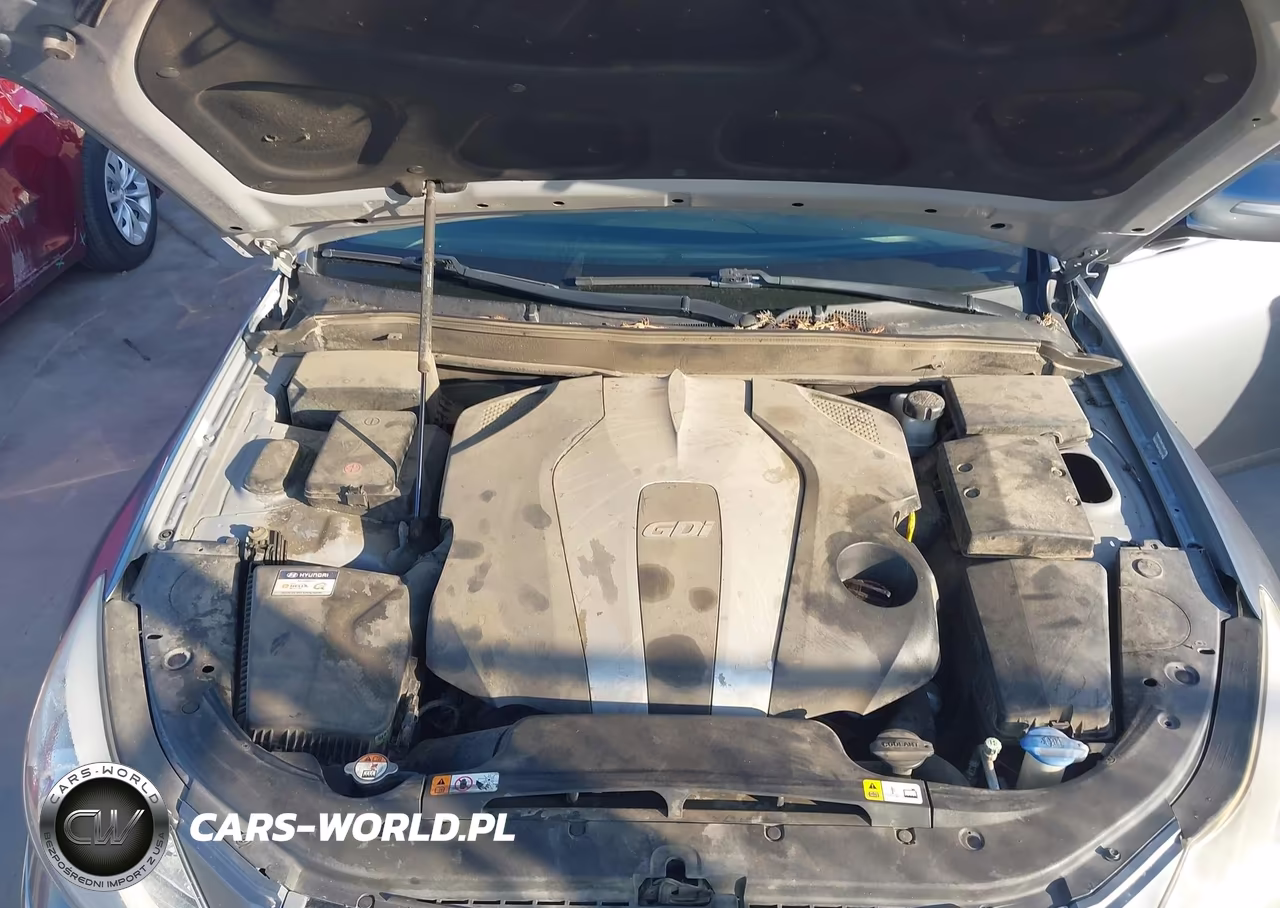 2013 Hyundai Genesis 3.8 VIN:KMHGC4DDXDU256456 - 10