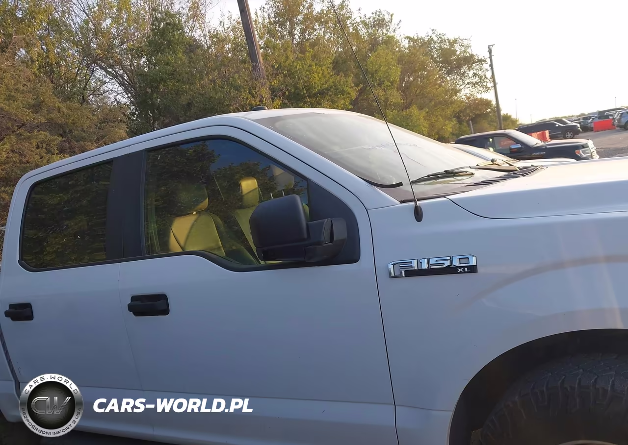 2018 Ford F150 Supercrew VIN:1FTEW1E53JKF08127 - 13