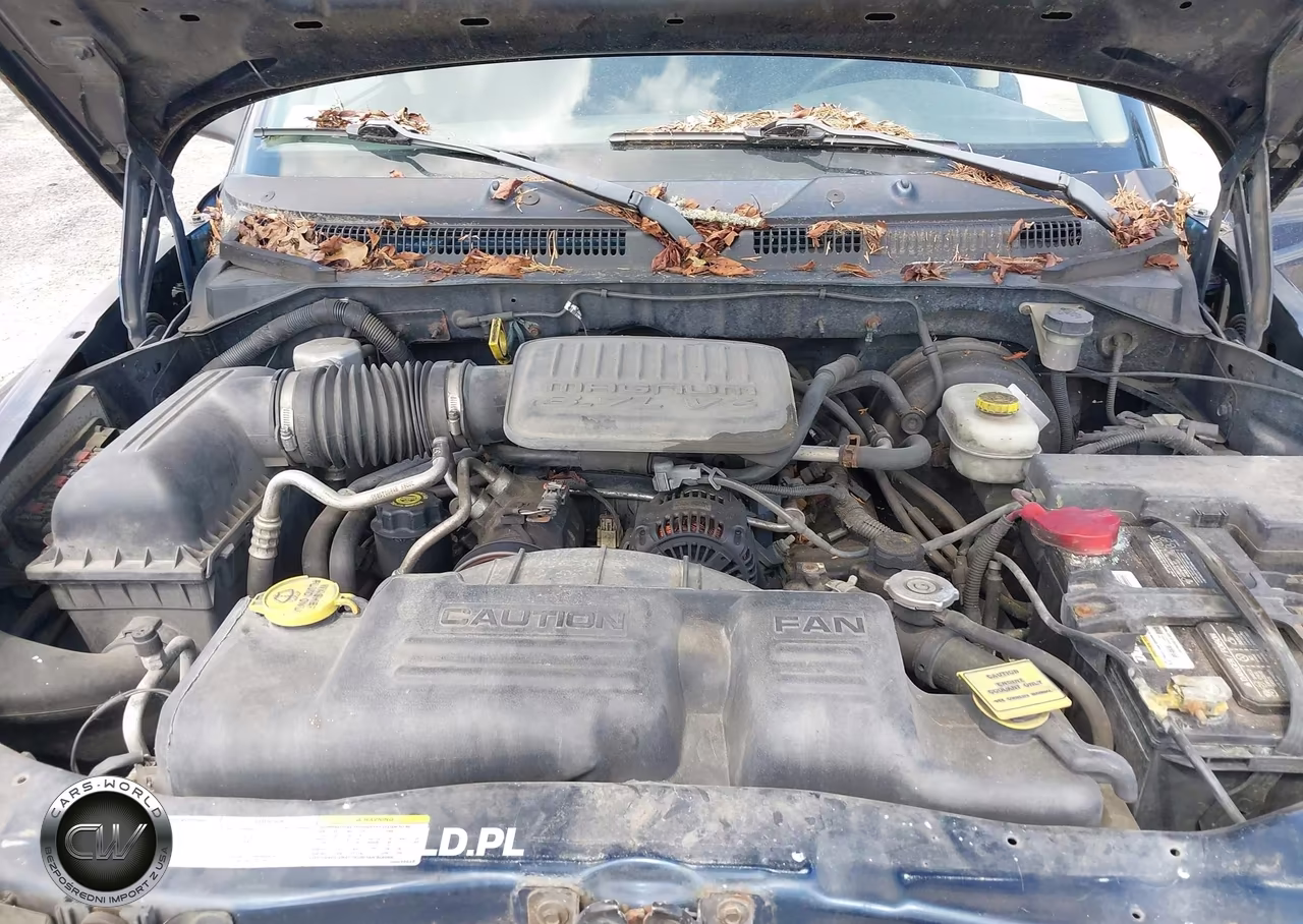 2004 Dodge Dakota VIN:1D7HG12K74S603529 - 10