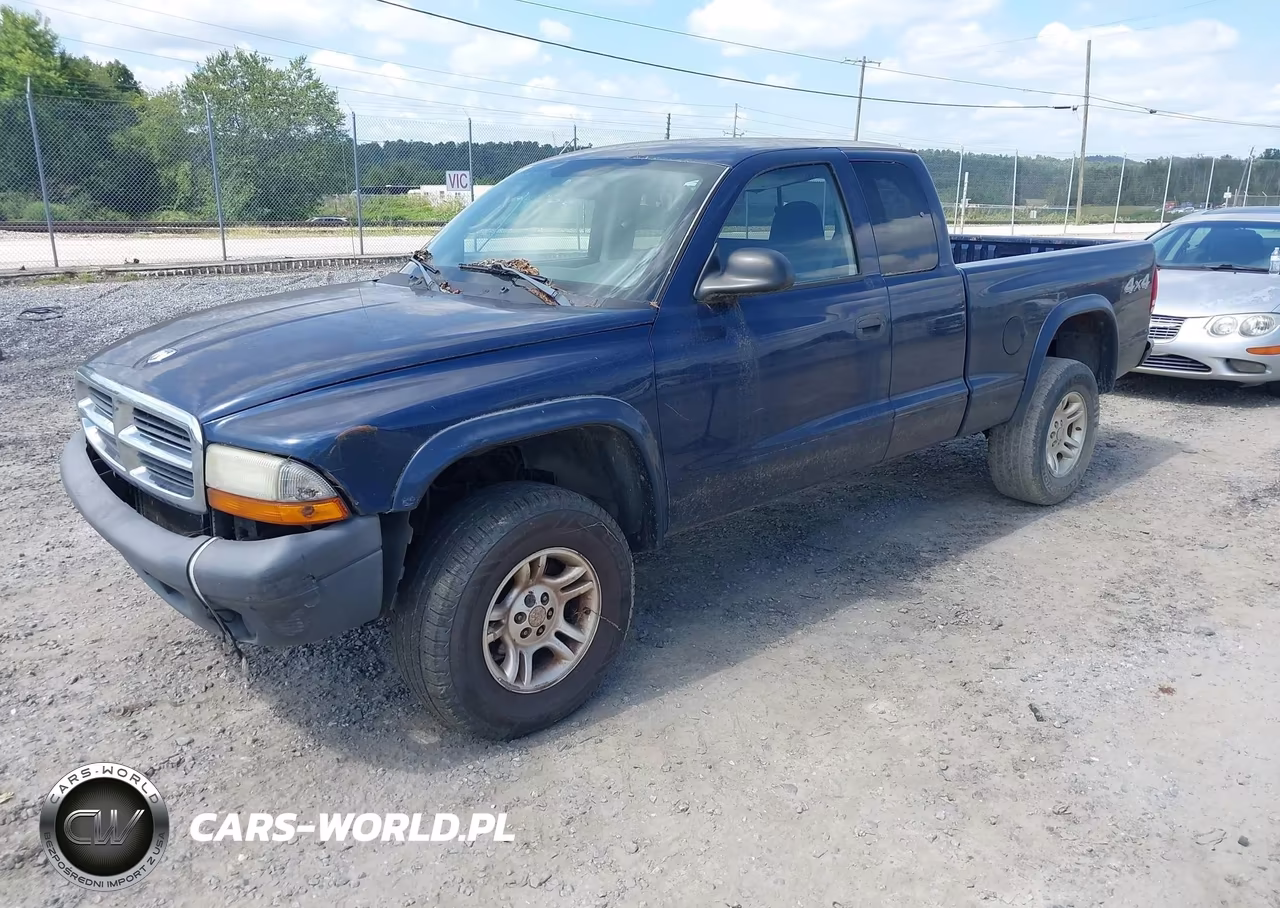 2004 Dodge Dakota VIN:1D7HG12K74S603529 - 2