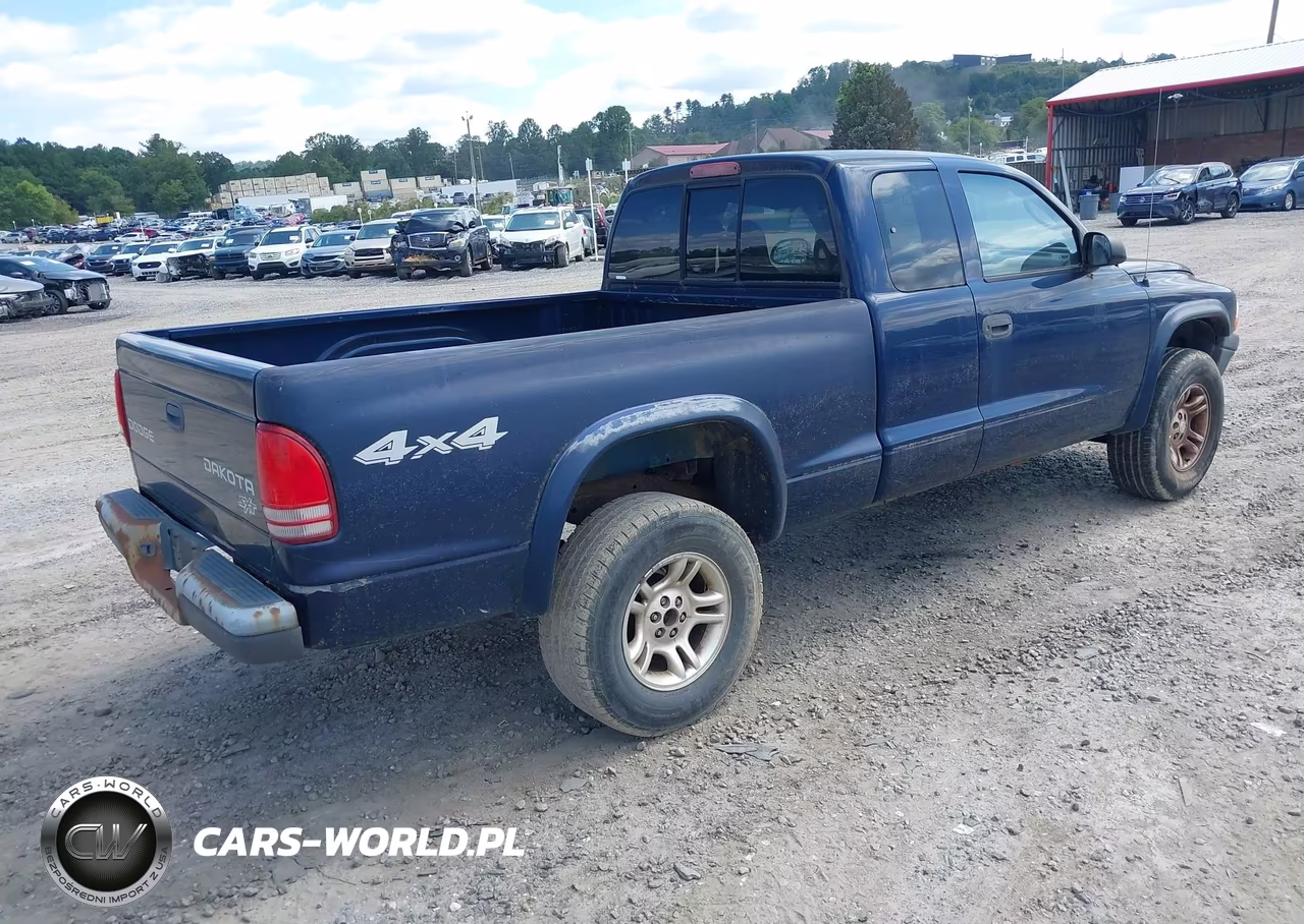 2004 Dodge Dakota VIN:1D7HG12K74S603529 - 4