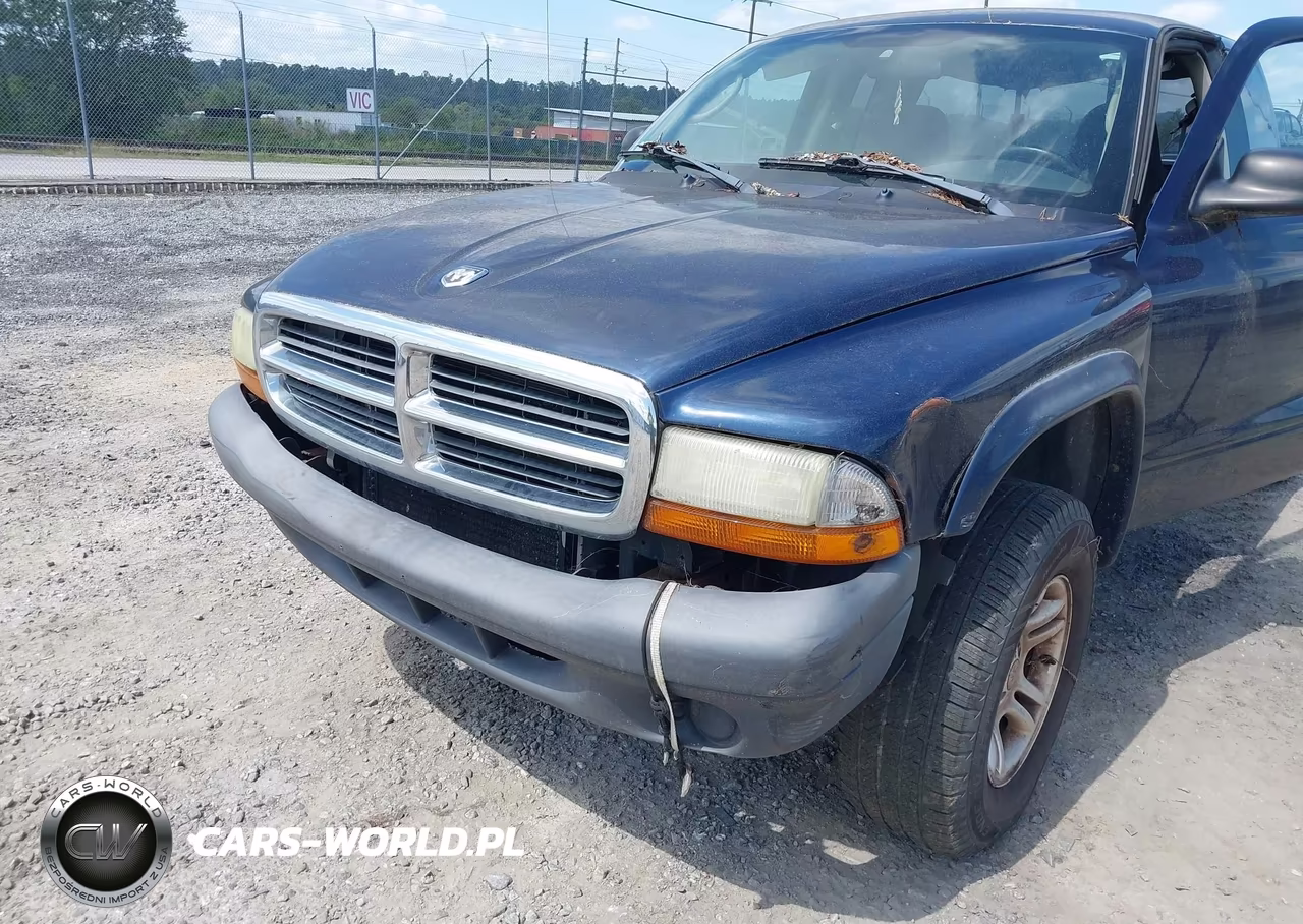 2004 Dodge Dakota VIN:1D7HG12K74S603529 - 6